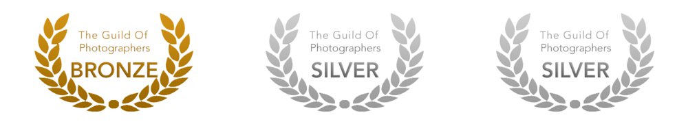 West yorkshire award winning photographer, Gold, Silver, Bronze awards
