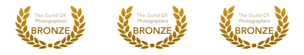 Award winning photographs, Bronze award photography, Guild of photographers