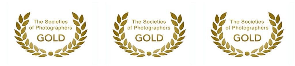 Societies monthly image competition award winners