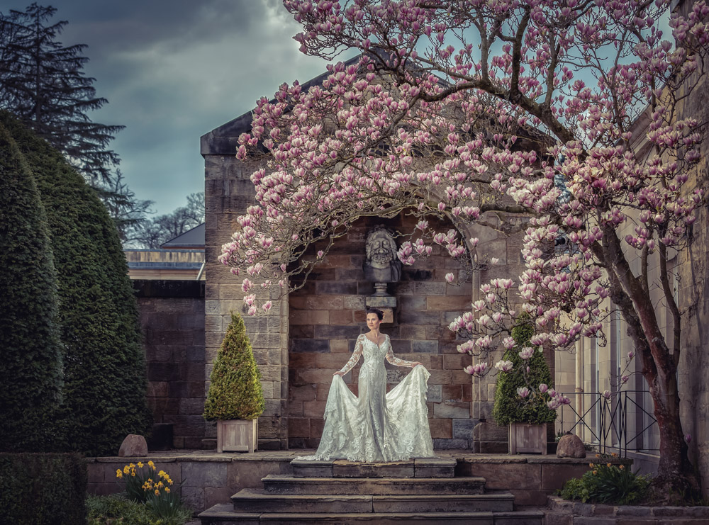 Bride standing under the magnolia blossom tree at Rudding Park in North Yorkshire